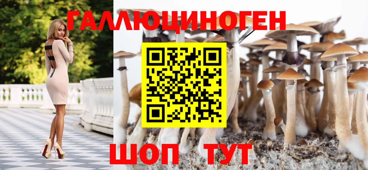 Галлюциногенные грибы Psilocybine cubensis  Вход с VPN  Асино 